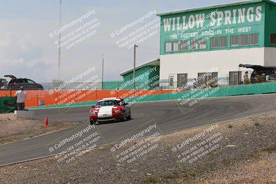 media/May-03-2025-Lucky Dog Racing (Sat) [[206de64b9d]]/Turn 4 B (1150am-130pm)/